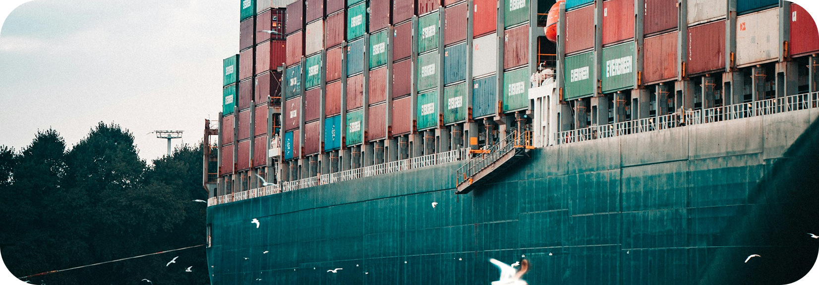 Supply Chain & Logistics